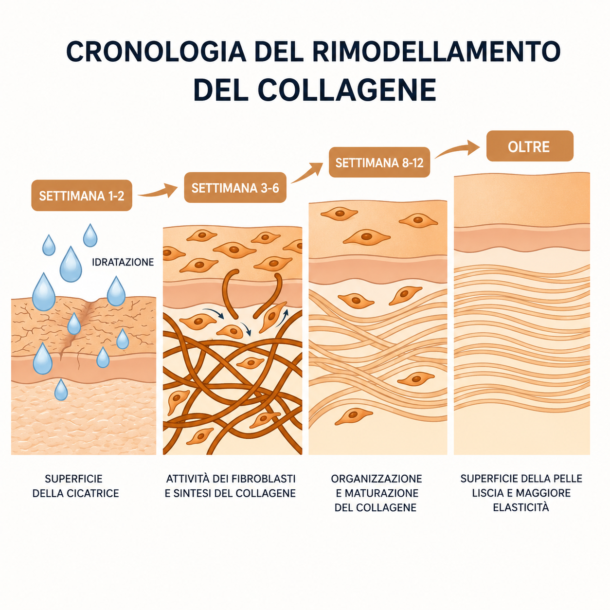 Cicatrici da Acne: Il rituale che Riduce i Segni | Omelia