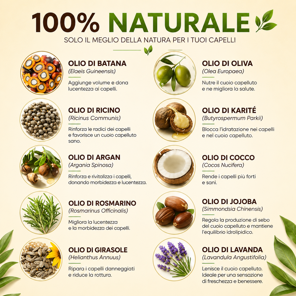 Siero Batana 10 in 1 – Ripara, Nutre e Rivitalizza i Tuoi Capelli