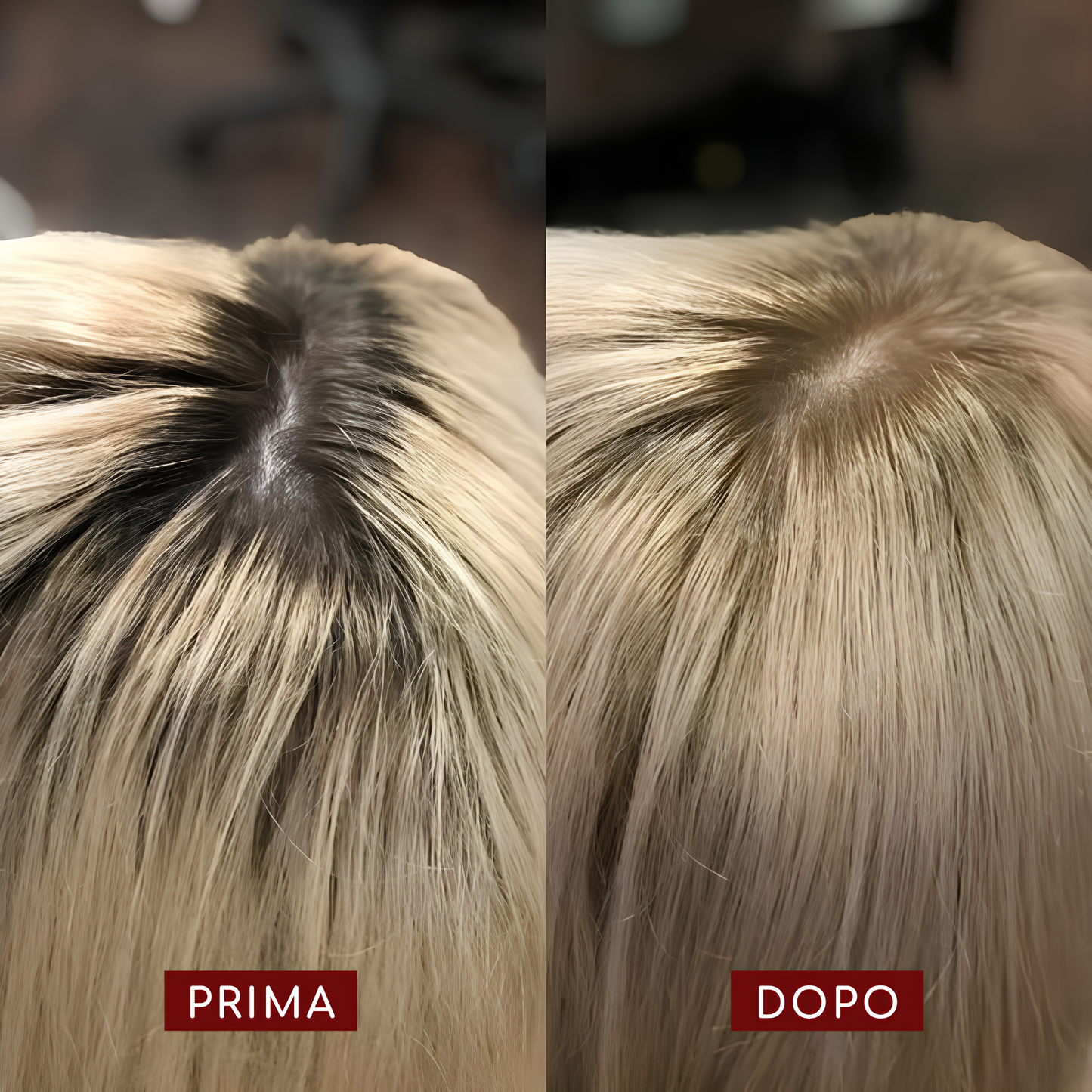 HairRich – Il kit completo per un colore perfetto!